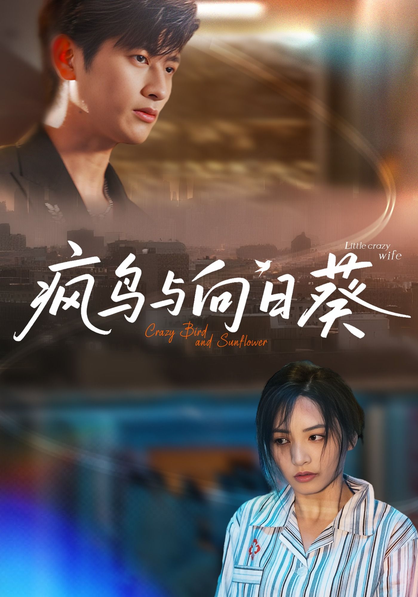 短剧疯鸟与向日葵超高清全集完整版，免费在线观看。  第1张