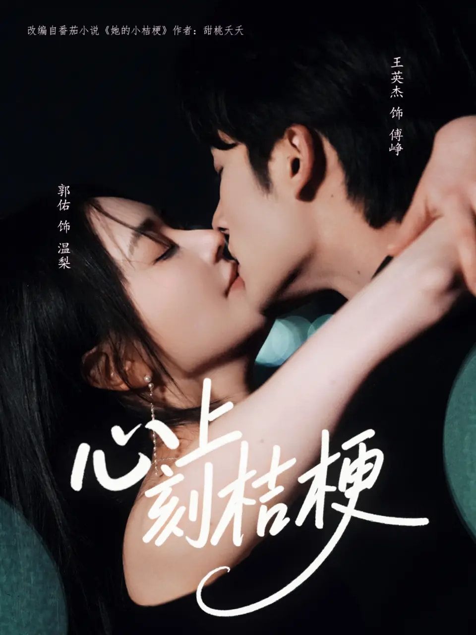 短剧 《心上刻桔梗》 免费超高清全集在线观看完整版  第1张