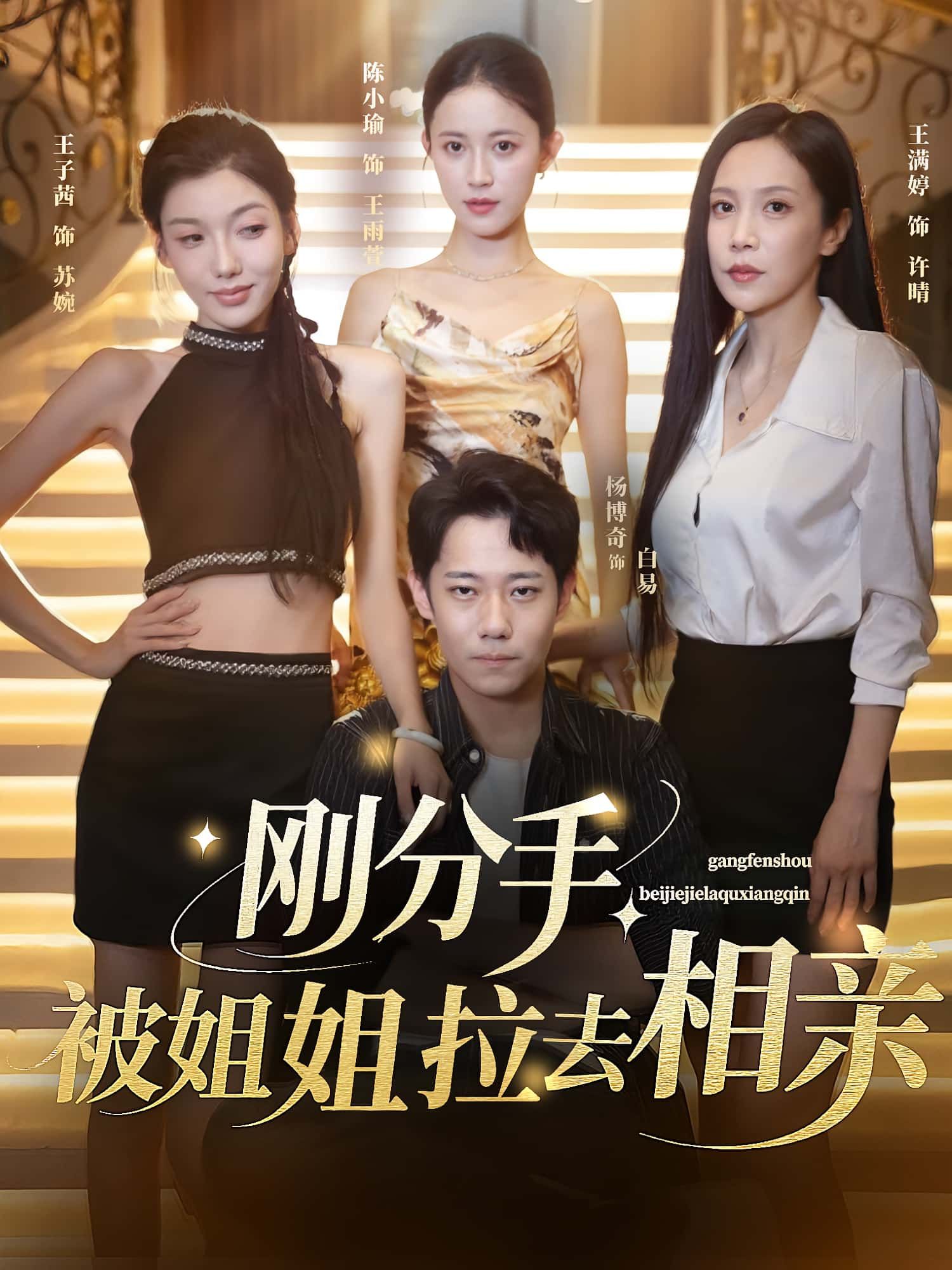 短剧刚分手被姐姐拉去相亲HD高清全集，在线免费观看完整版。  第1张