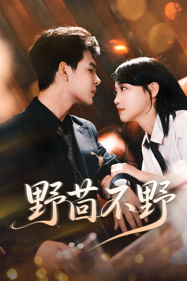 短剧野茴不野高清完整全集无删减版，在线免费观看，精彩剧情即刻解锁！  第1张