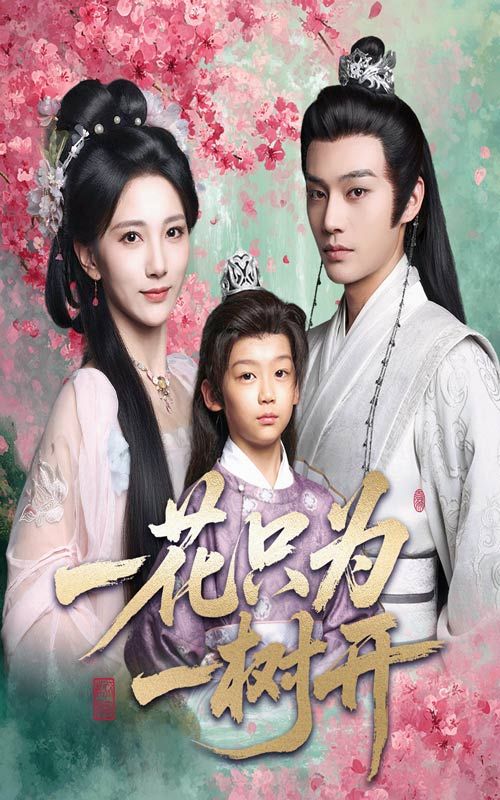 短剧 《一花只为一树开》 高清全集完整版免费在线观看 HD  第1张