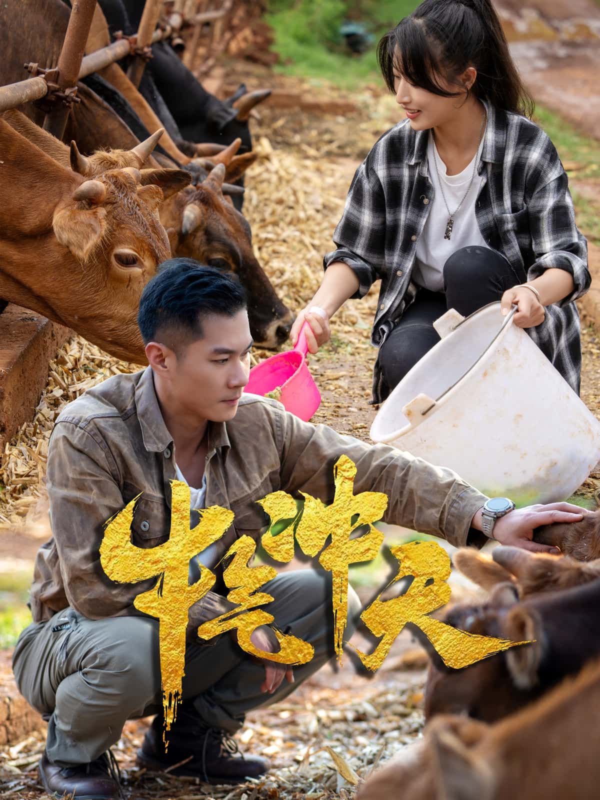 牛气冲天高清全集完整版免费在线看！精彩剧情，全集奉上，无需付费，即刻畅享，不容错过！  第1张