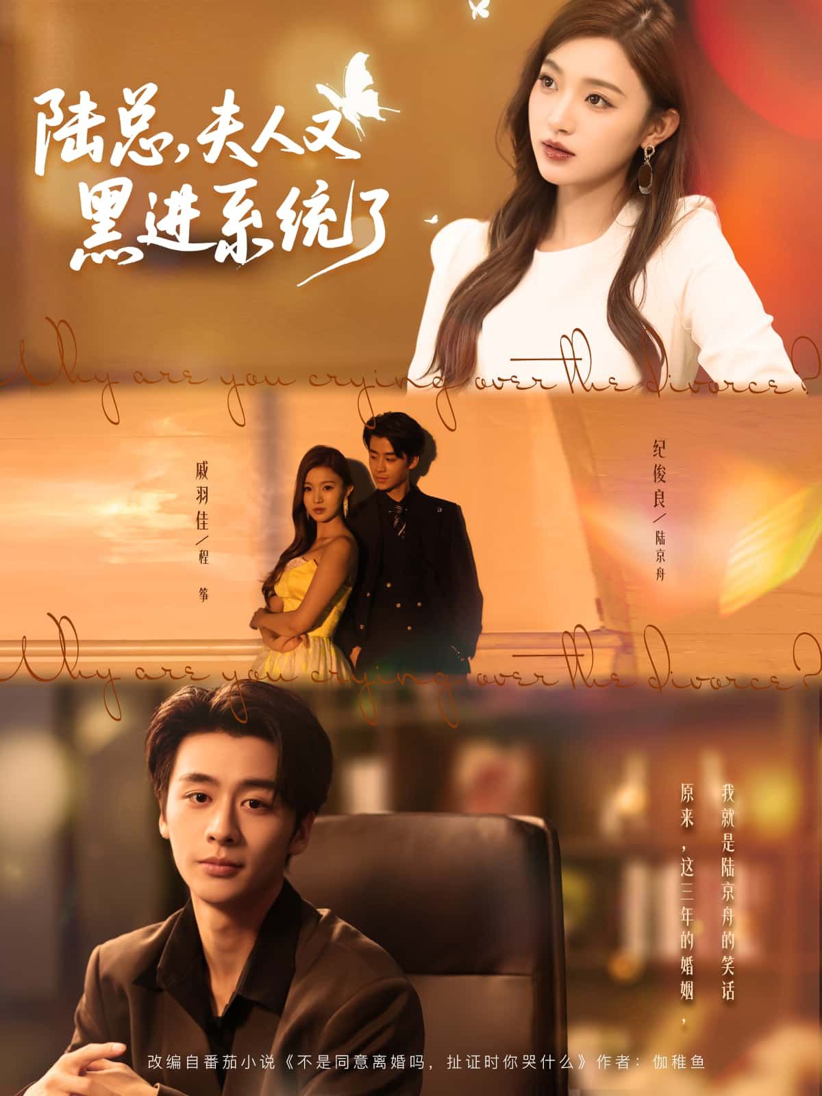 短剧陆总，夫人又黑进系统了1080P超高清全集，在线观看完整版，甜宠爽感拉满！  第1张