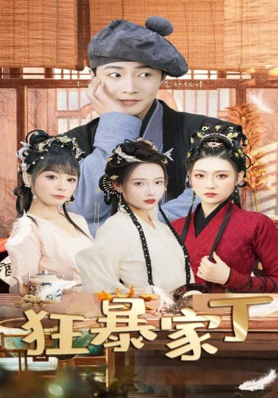 短剧狂暴家丁1080P高清全集完整版，在线看爽不停，热血狂暴剧情一网打尽！  第1张