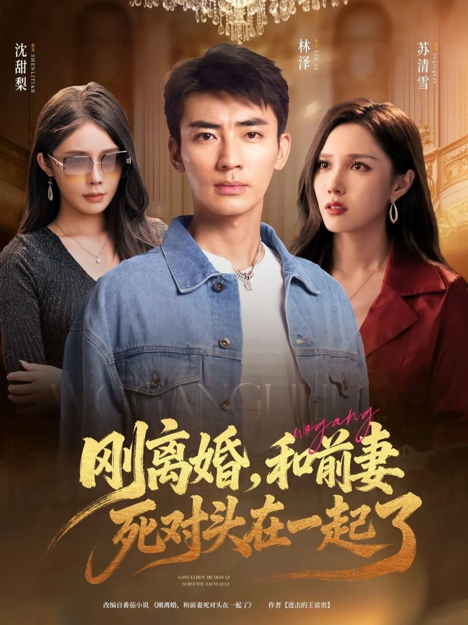 短剧 《刚离婚和前妻死对头在一起》 在线观看 1080P 高清完整全集  第1张