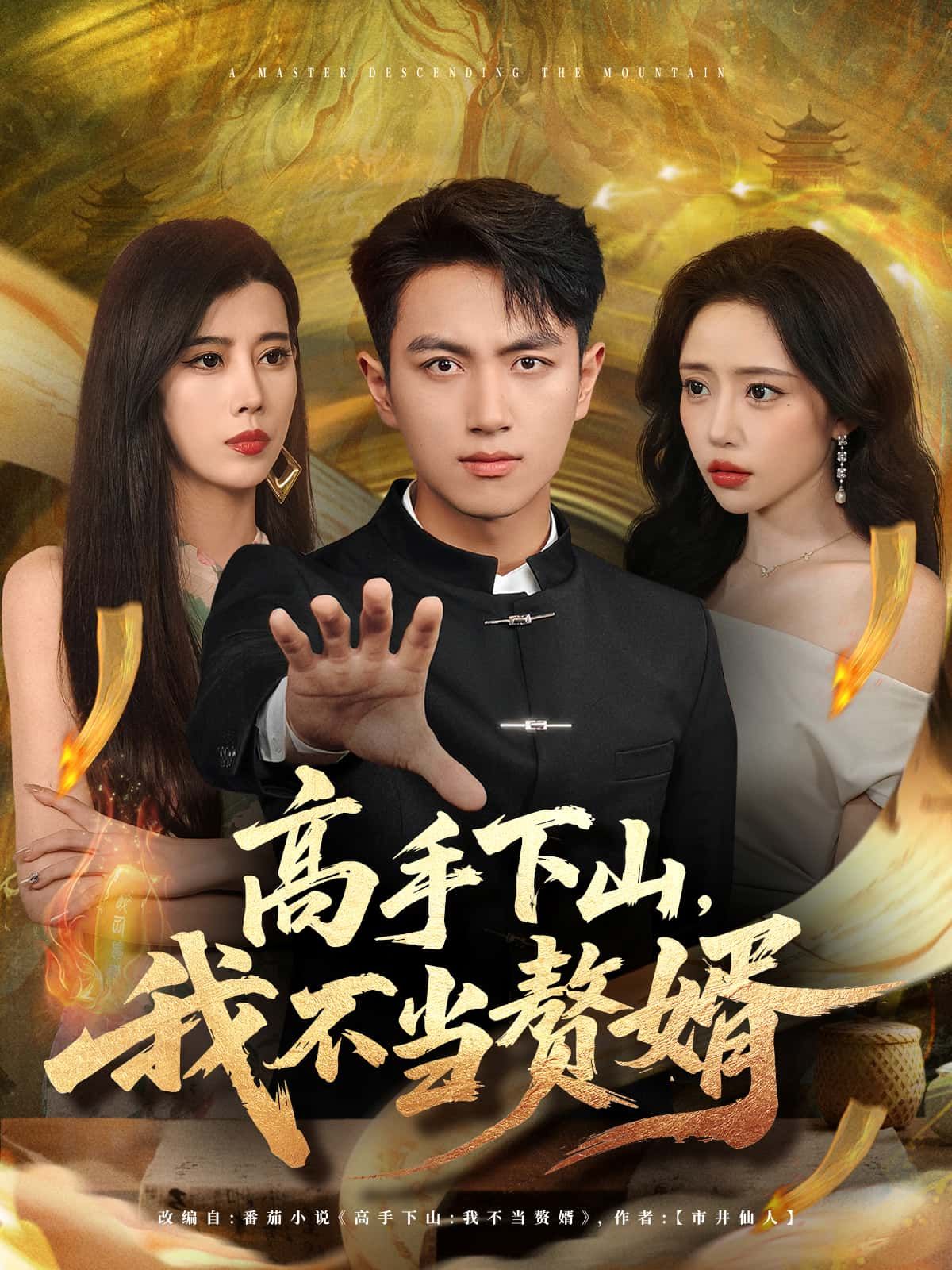 短剧 《高手下山，我不当赘婿》 观看超高清全集完整版在线看  第1张