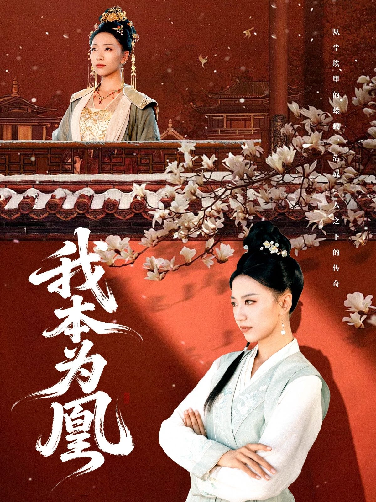 短剧我本为凰1080P高清完整全集，在线播放无广告，畅享沉浸式观剧体验。  第1张