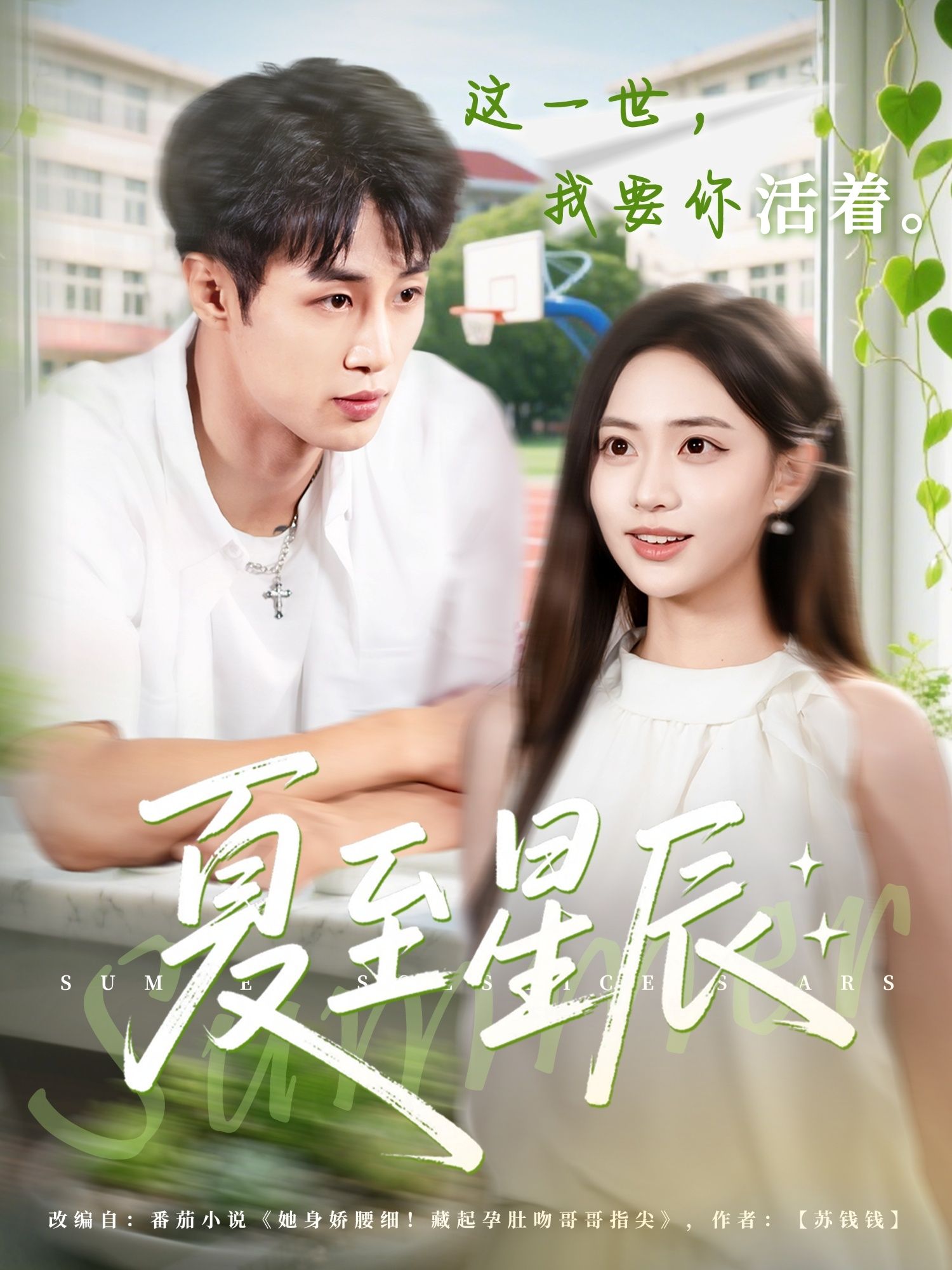 短剧夏至星辰高清无删减全集完整版，在线观看，沉浸式解锁夏至限定浪漫与星辰下的治愈故事。  第1张