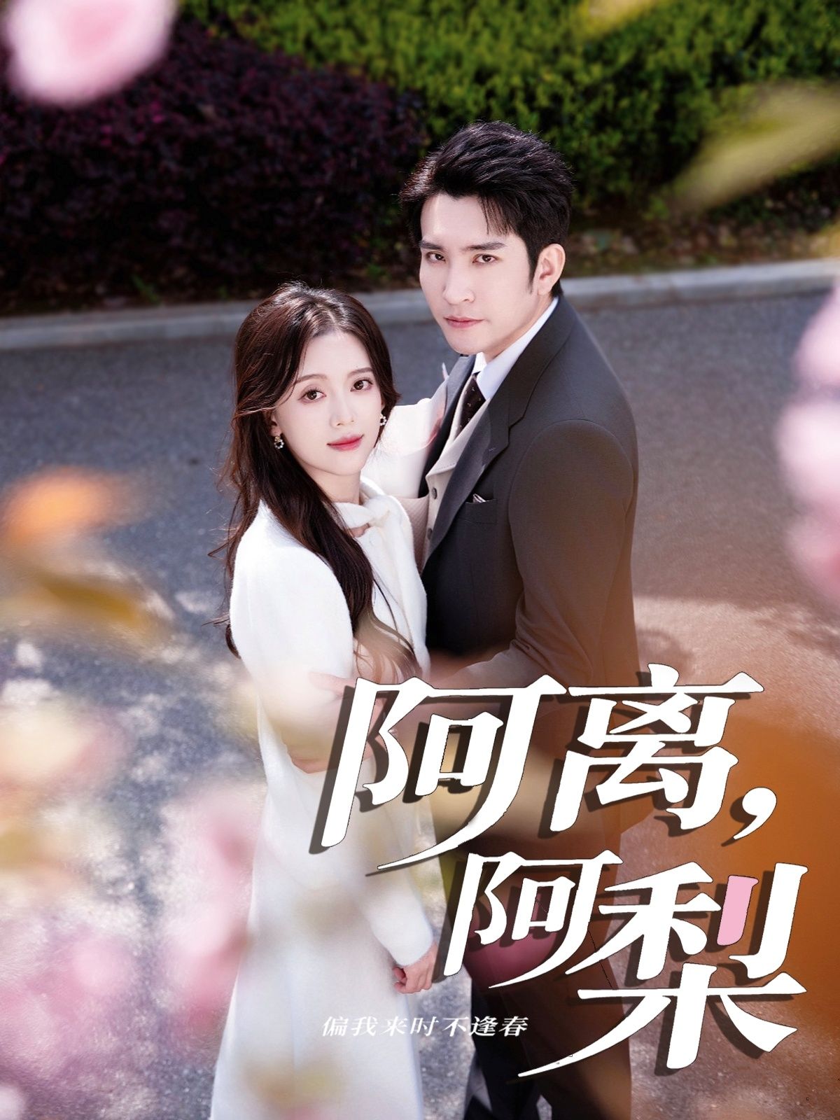 短剧阿离阿梨1080P超高清全集完整版在线观看，高清画质，全集奉上，精彩不容错过！  第1张