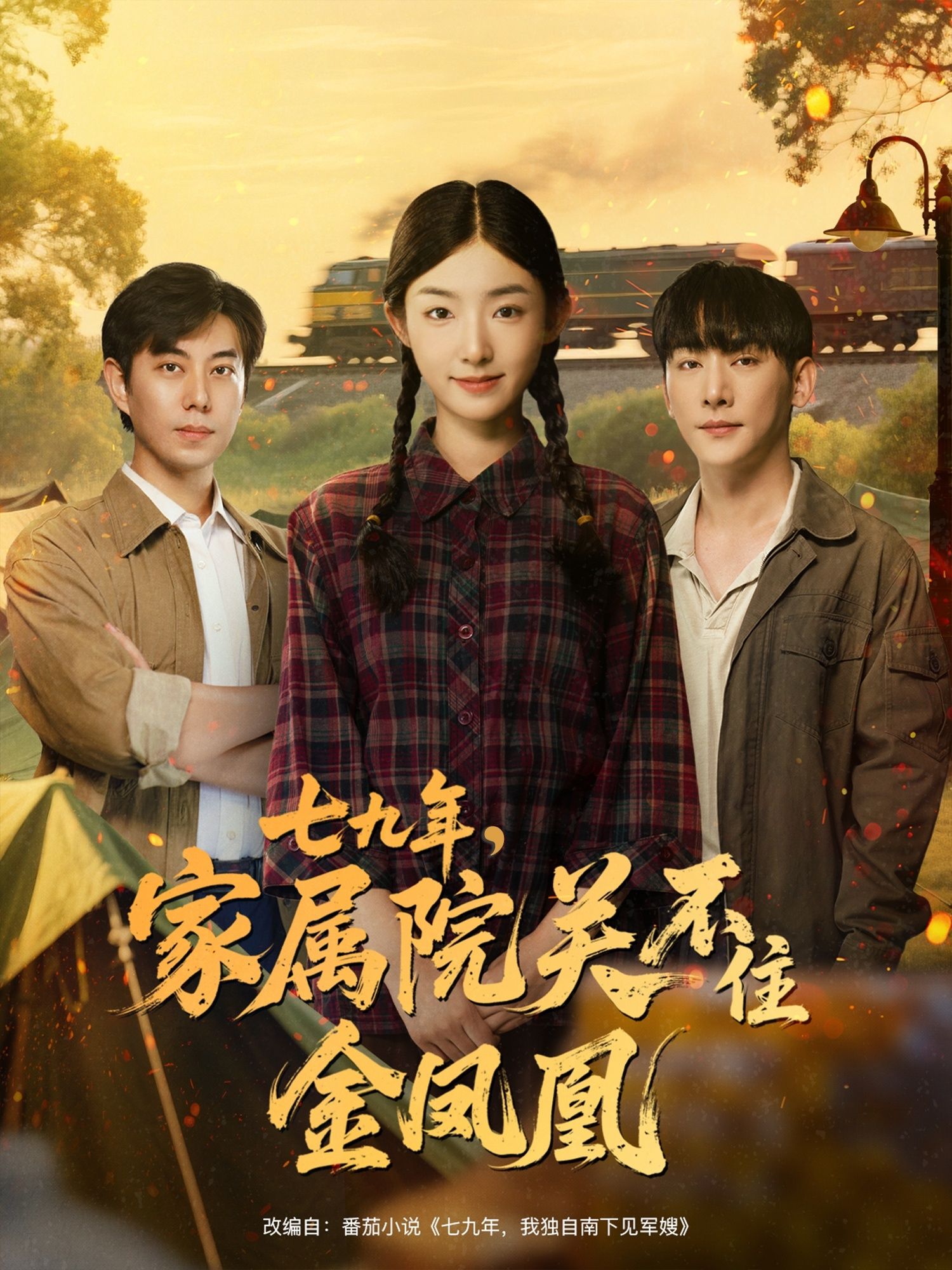 短剧七九年家属院关不住金凤凰高清全集完整版在线播放，看金凤凰在年代浪潮中逆风绽放，热血逆袭！  第1张