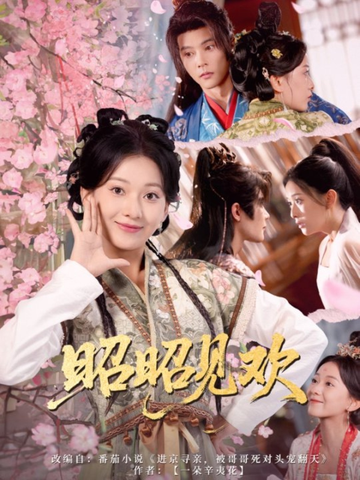 短剧 《昭昭见欢》 高清作品全集免费在线观，完整版尽享精彩