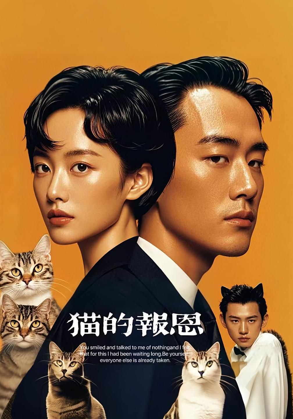 短剧 《猫的报恩》 免费高清内容全集在线，完整版观看无束缚