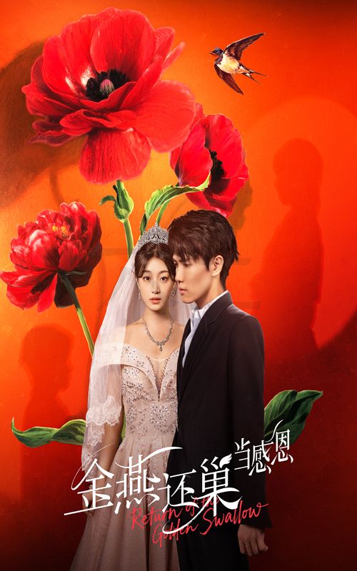 短剧金燕还巢当感恩高清完整全集免费在线观看无广告，聚焦情感与感恩，聆听金燕的回声。  第1张