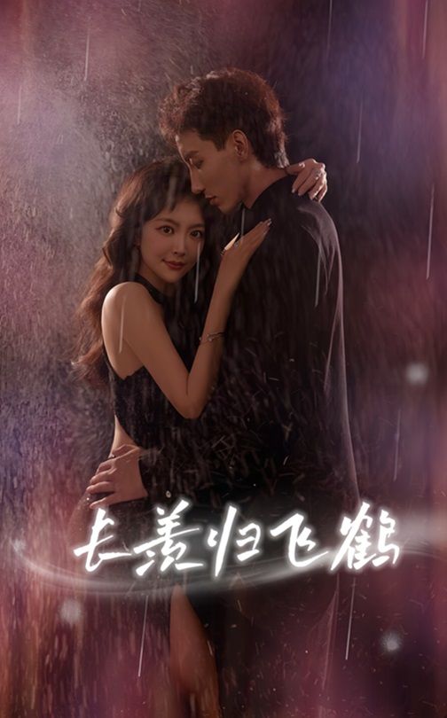 短剧长羡归飞鹤HD高清全集完整版免费在线看，无删减，沉浸式体验，尽览归飞鹤意。  第1张