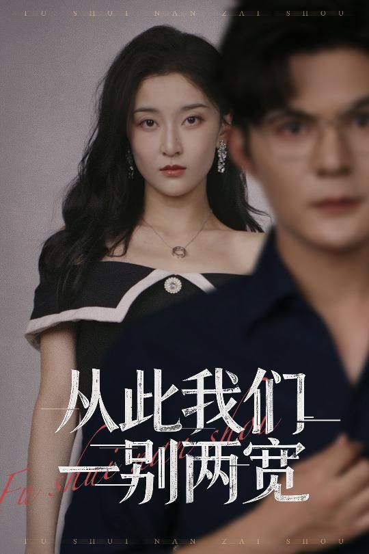 短剧 《从此我们一别两宽》 在线播放高清全集无删减版 HD  第1张