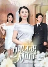 短剧 《有眼不识荆山玉》 1080P 超高清完整全集在线播放  第1张