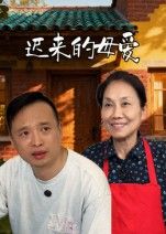 短剧迟来的母爱在线播放高清全集无删减版HD，温情故事，感动呈现，母爱深沉，触人心弦。  第1张