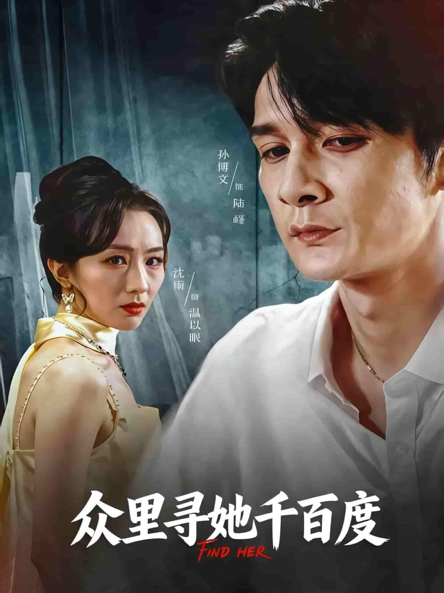 短剧 《众里寻她千百度》 HD 高清全集无删减版在线播放  第1张