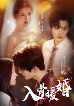 入骨暖婚在线观看超高清全集完整版，甜宠虐恋交织，深情守护入骨，治愈系暖婚故事，全网热播，不容错过！