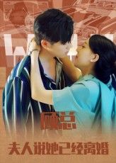 短剧 《顾总，夫人说她已经离婚》 1080P HD 超高清全集完整版在线看